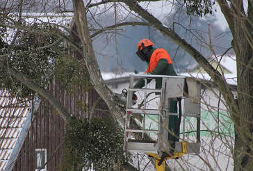 A tree expert using a crane and a chainsaw to chop up a tree that was fallen in a snow storm emergency in St. Charles