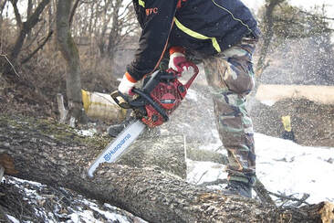 Arborist in camo pants chopping up a fallen tree with a husqvarna chainsaw so that the logs can be stacked