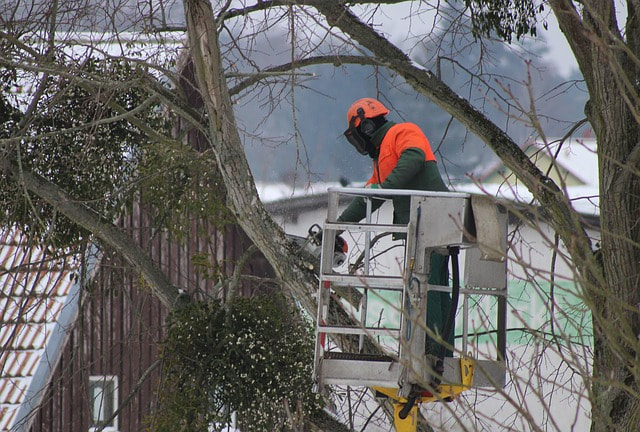 A tree expert removing a tree outside of a house after an emergency situation