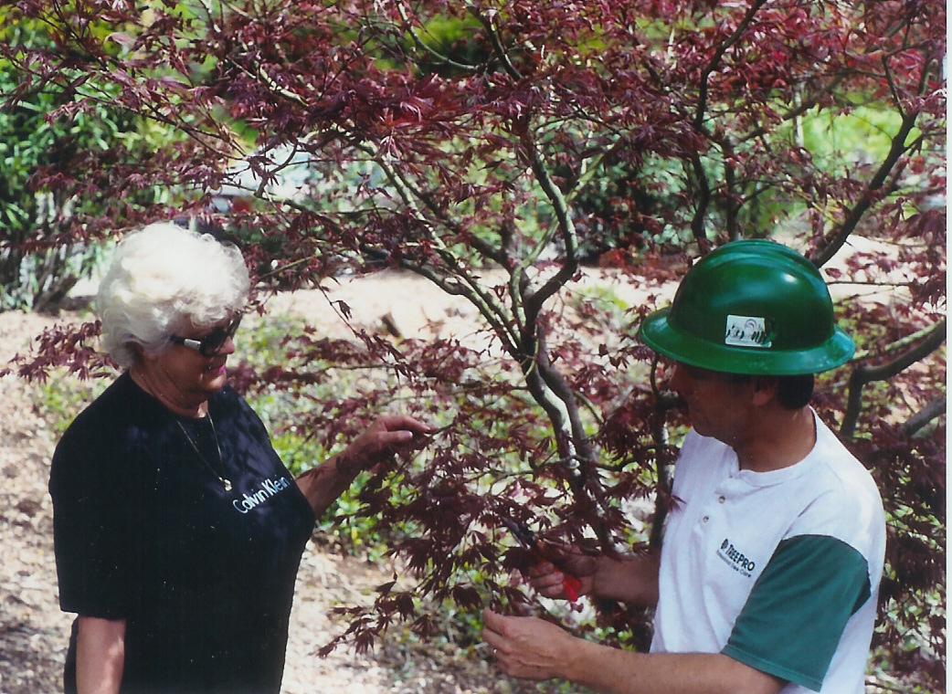An expert arborist providing tree health analysis for a costumer in St. Charles MO