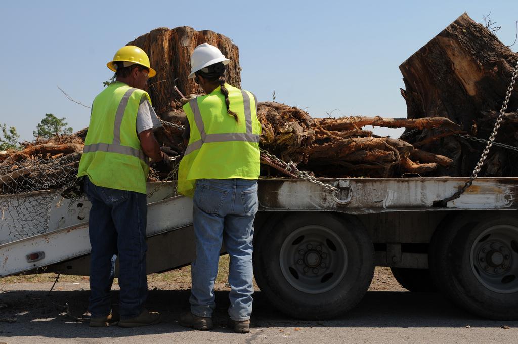 two tree workers in yellow vests placing a large tree stump on the back of a truck